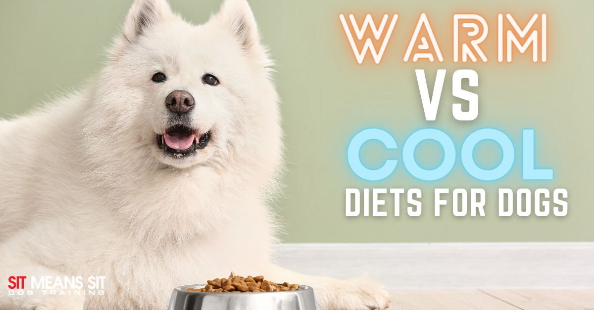 Comparing a Warm vs. Cool Diet for Your Dog