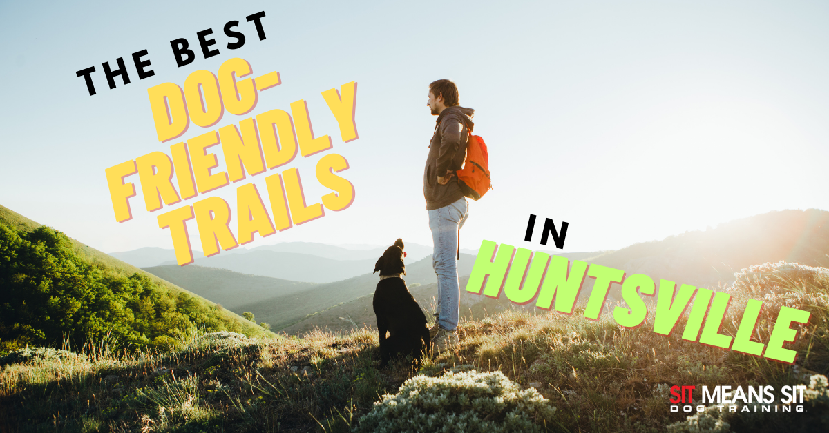 Dog-Friendly Trails in Huntsville